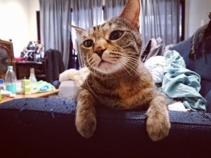 IMG_20171230_131323_978