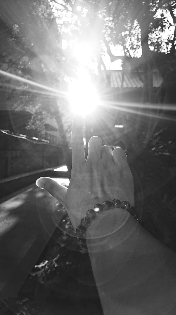 DSC_MON_20180813172650515