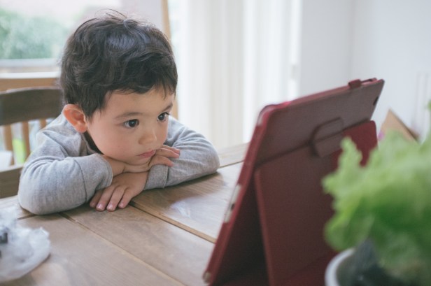 34114014955_724f3b8416_o