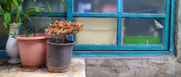 Xperia 10 Plus帶來全新雙鏡頭相機，透過21：9寬螢幕，隨手拍攝即可帶來有如電影般的畫面，捕捉你的城市日常！(3)