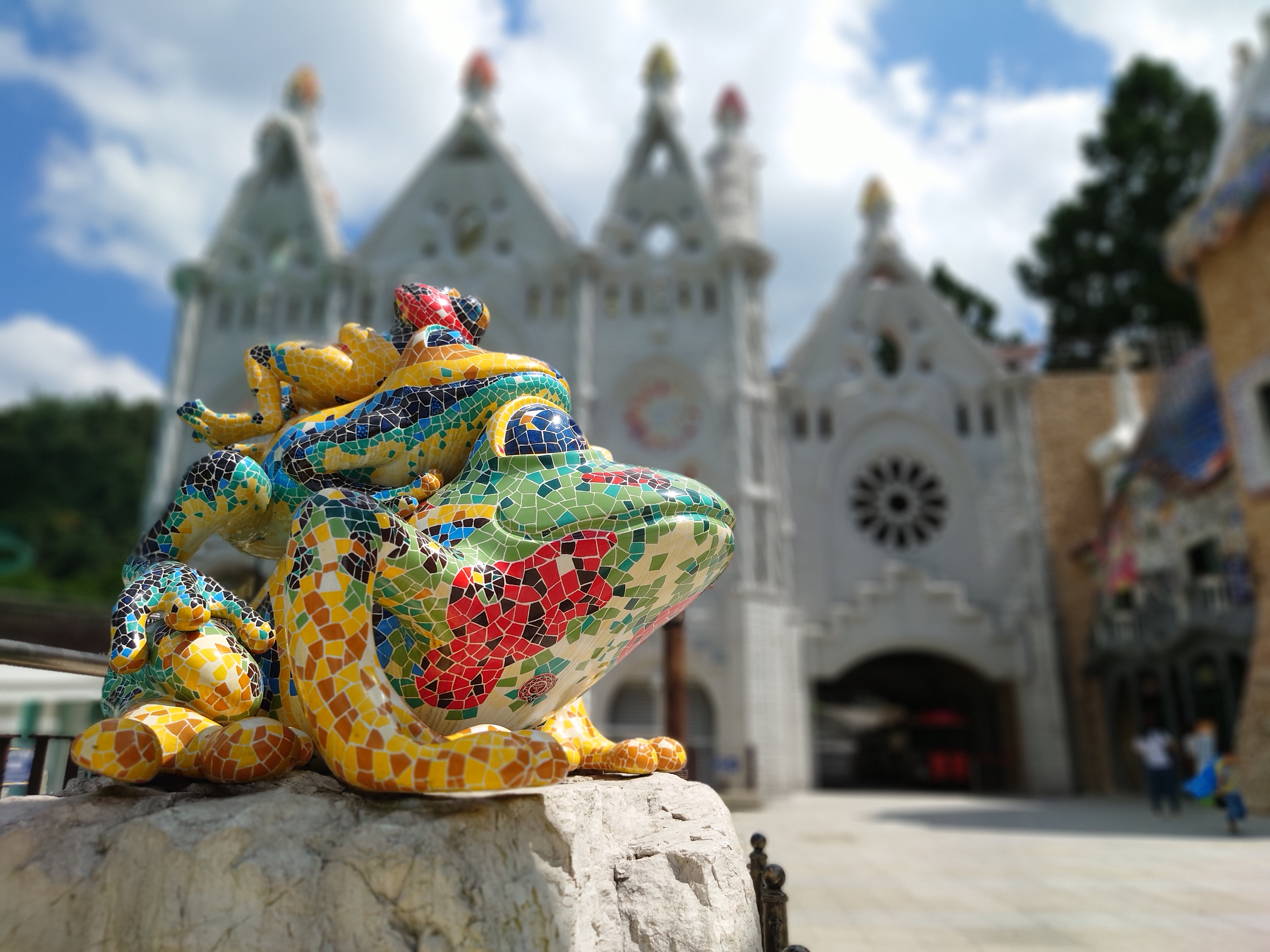 一般相機：景深模式拍攝- 24mm鏡頭